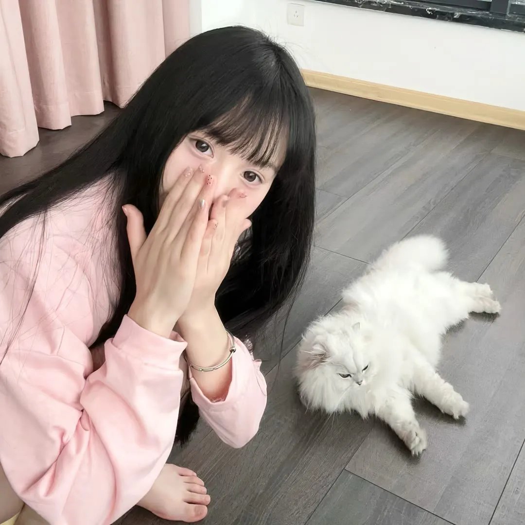 寻找苏珊
